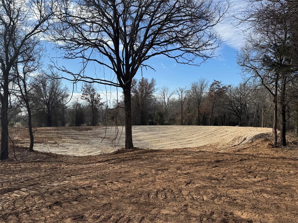 165 County Road 4896 Springtown, TX 76082 - Photo 8 of 12 a view of a yard with trees