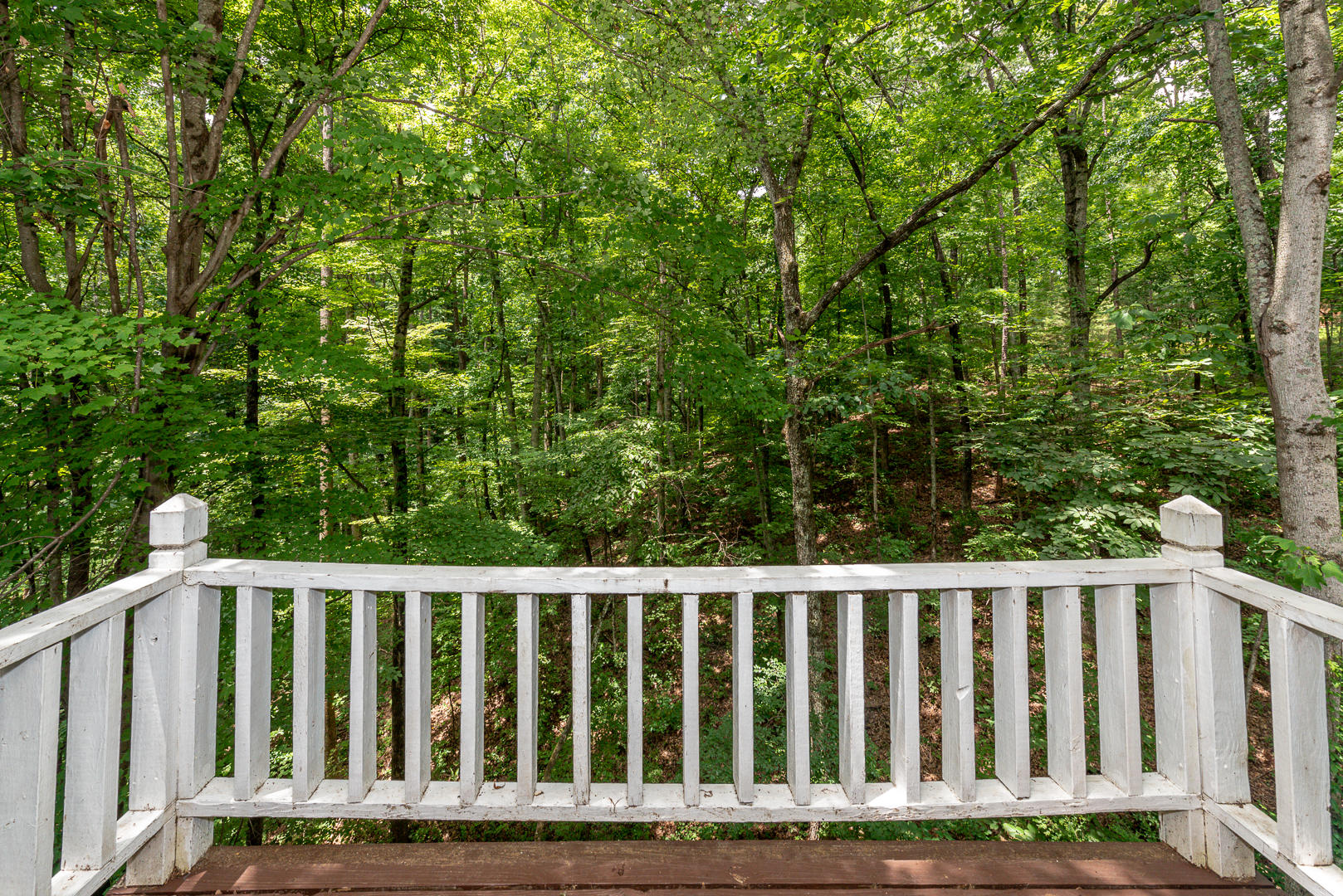 2017 Plumb Ridge Road Knoxville, TN 37932 - Photo 25 of 30 DSC_3309