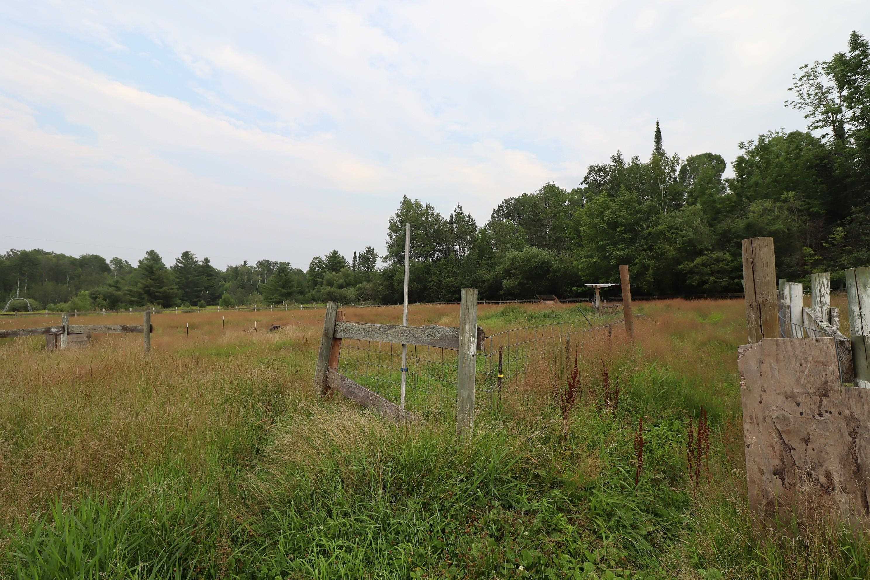 82855 Lenawee Road Herbster, WI 54844 - Photo 6 of 27 Fenced Pasture