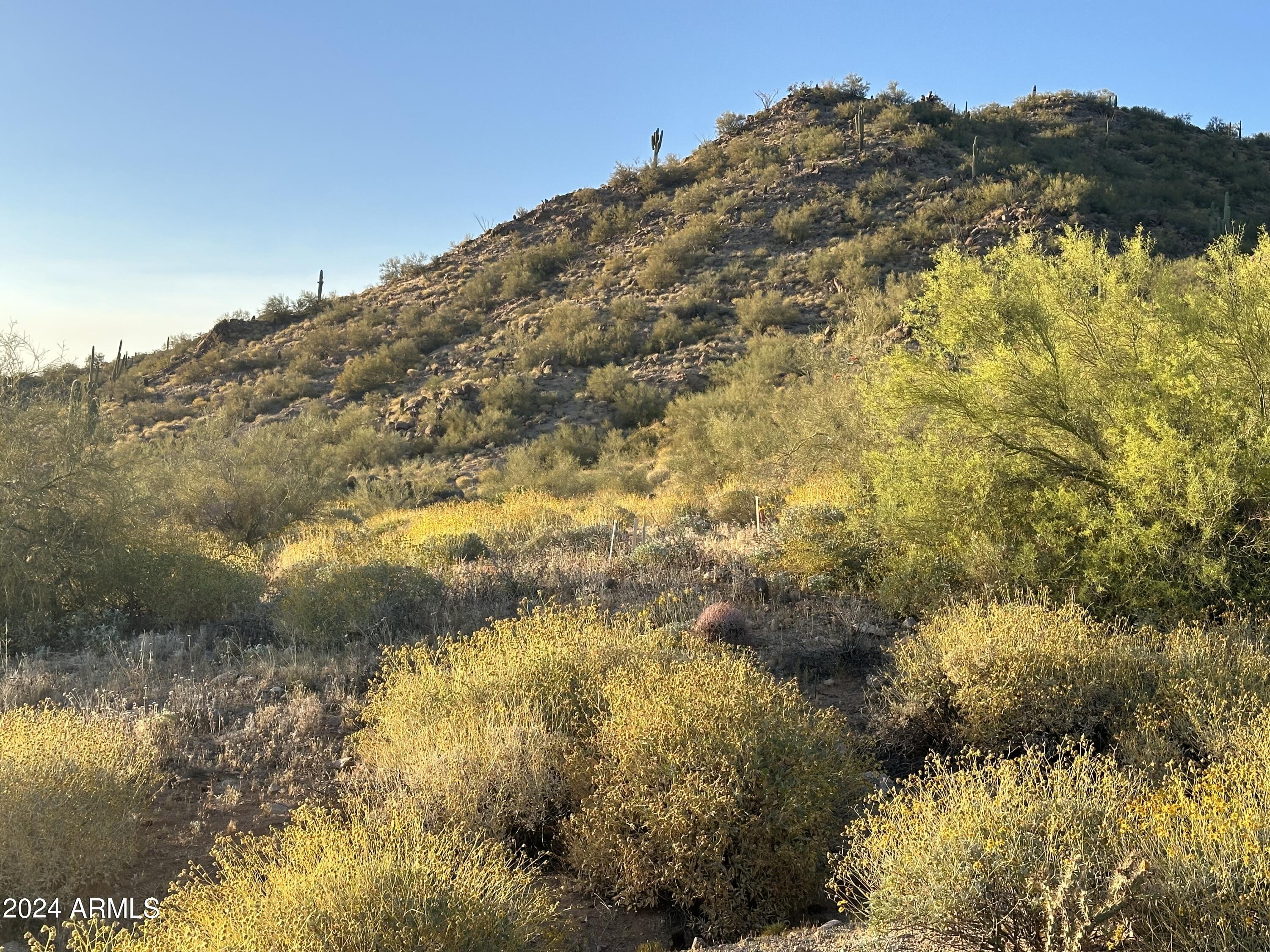 3624 North Rocky Ridge Circle, Unit 33 Mesa, AZ 85207 - Photo 20 of 44 tonto national forest behind