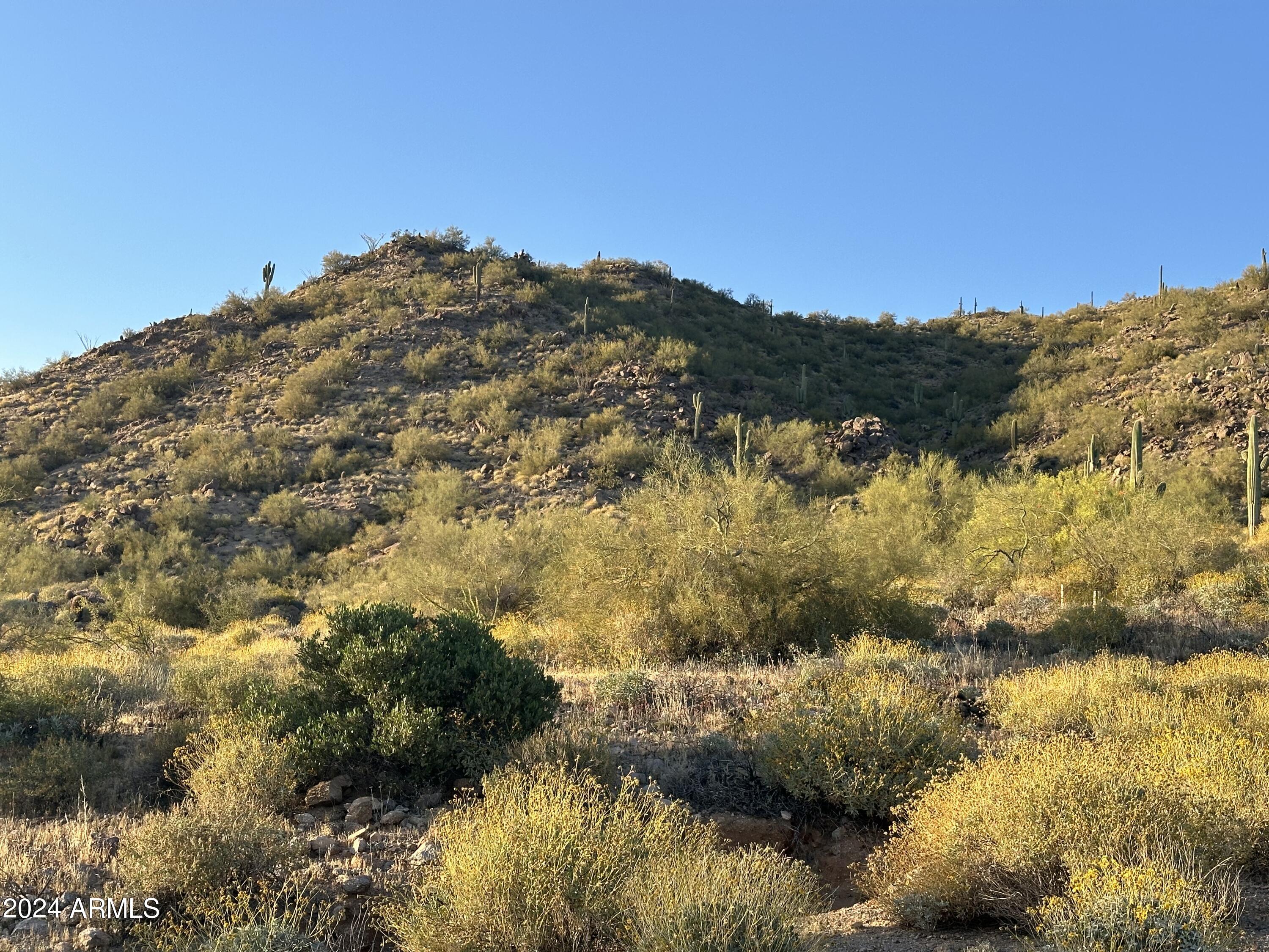 3624 North Rocky Ridge Circle, Unit 33 Mesa, AZ 85207 - Photo 21 of 44 tonto national forest