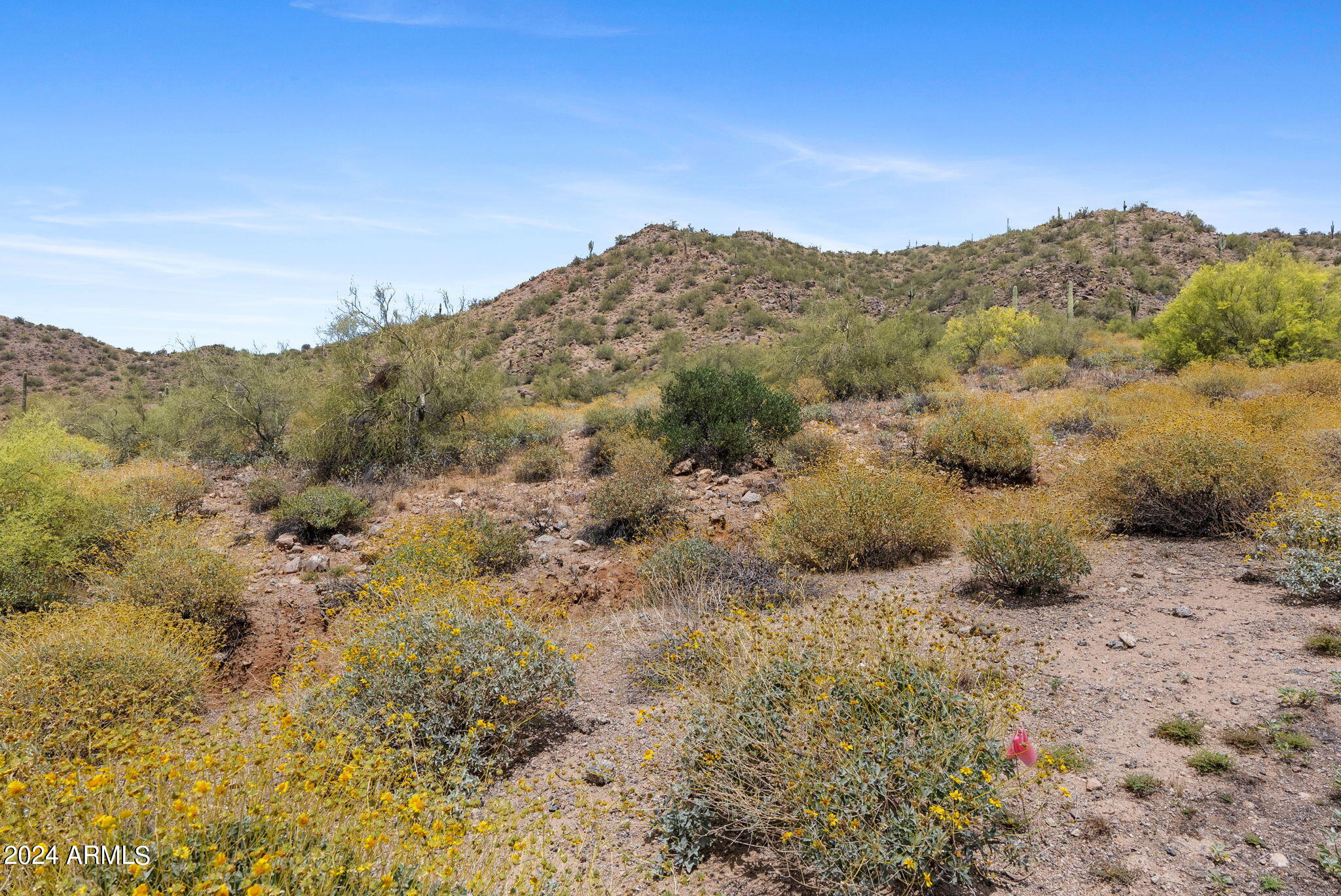 3624 North Rocky Ridge Circle, Unit 33 Mesa, AZ 85207 - Photo 44 of 44 25-web-or-mls-3624-n-rocky-ridge-cir