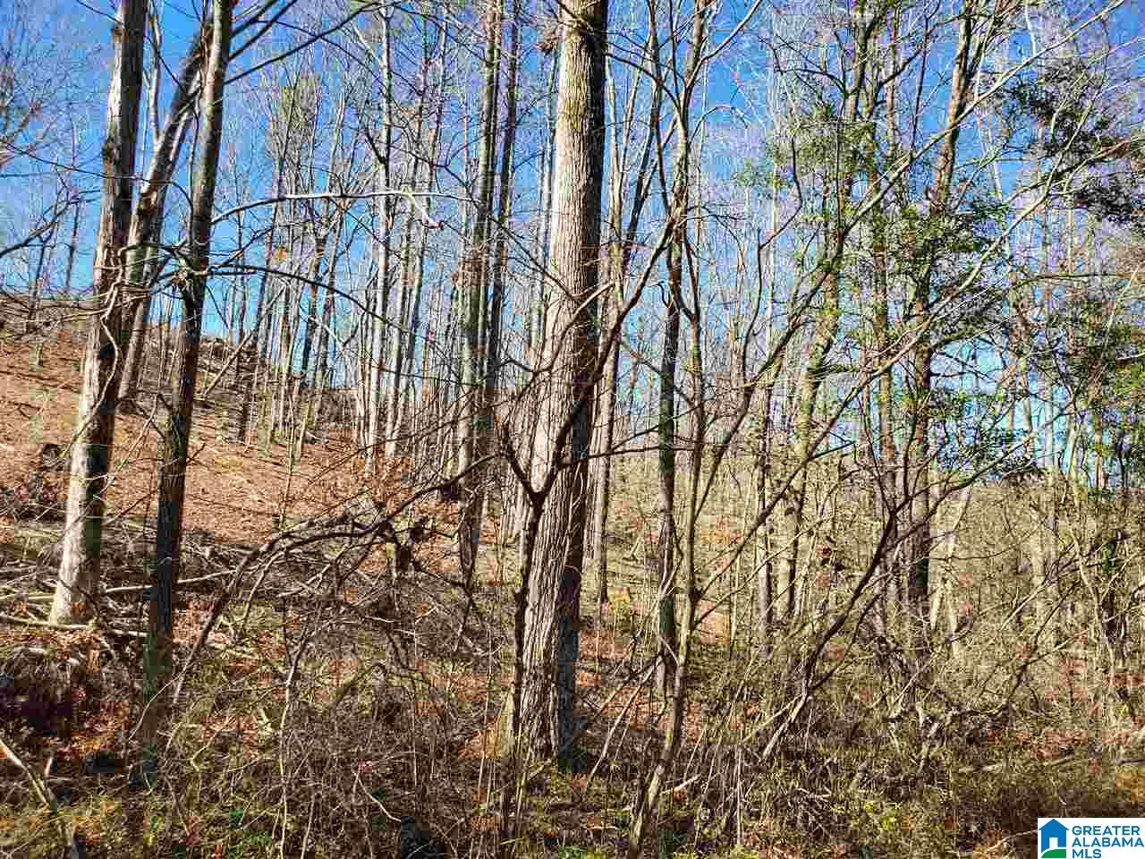 0 Berry Road, Unit 152 Goodwater, AL 35072 - Photo 14 of 30