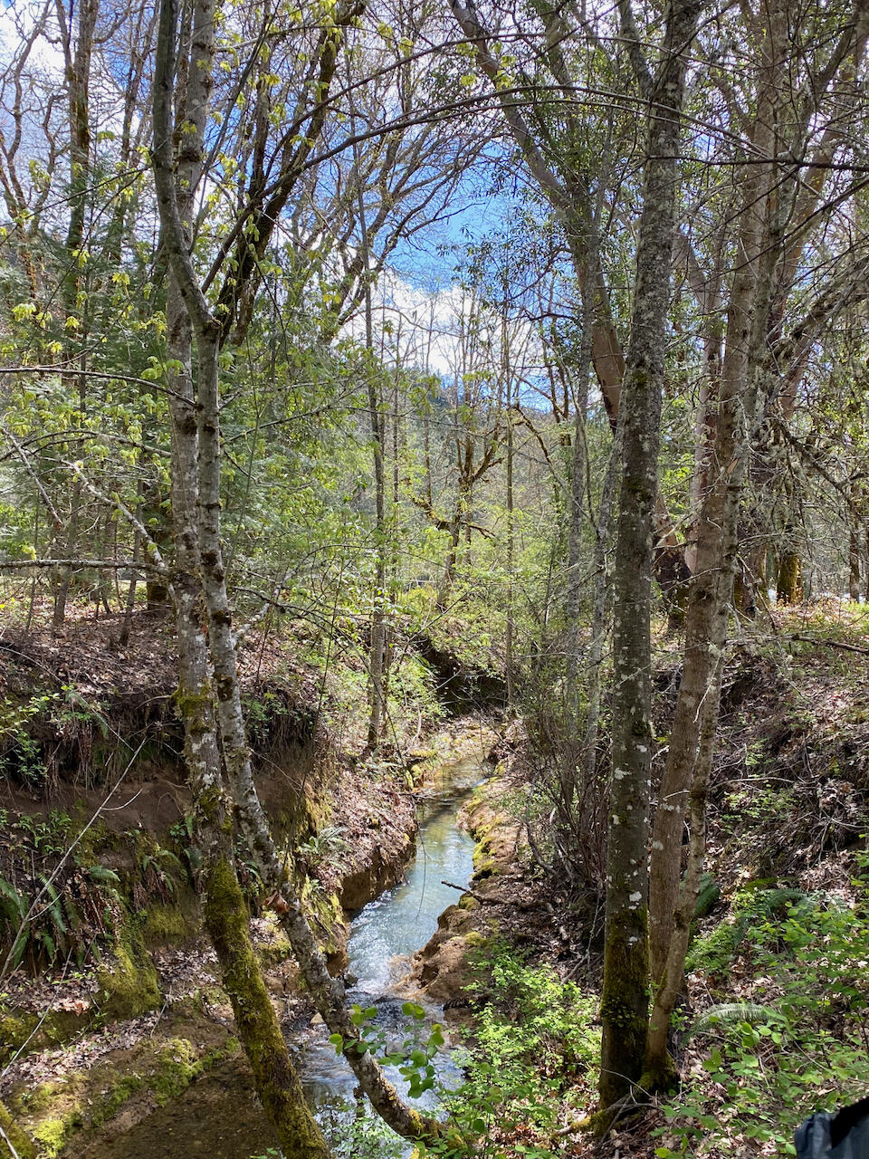 995 Indian Creek Road Selma, OR 97538 - Photo 17 of 24 995 Indian Creek Rd
