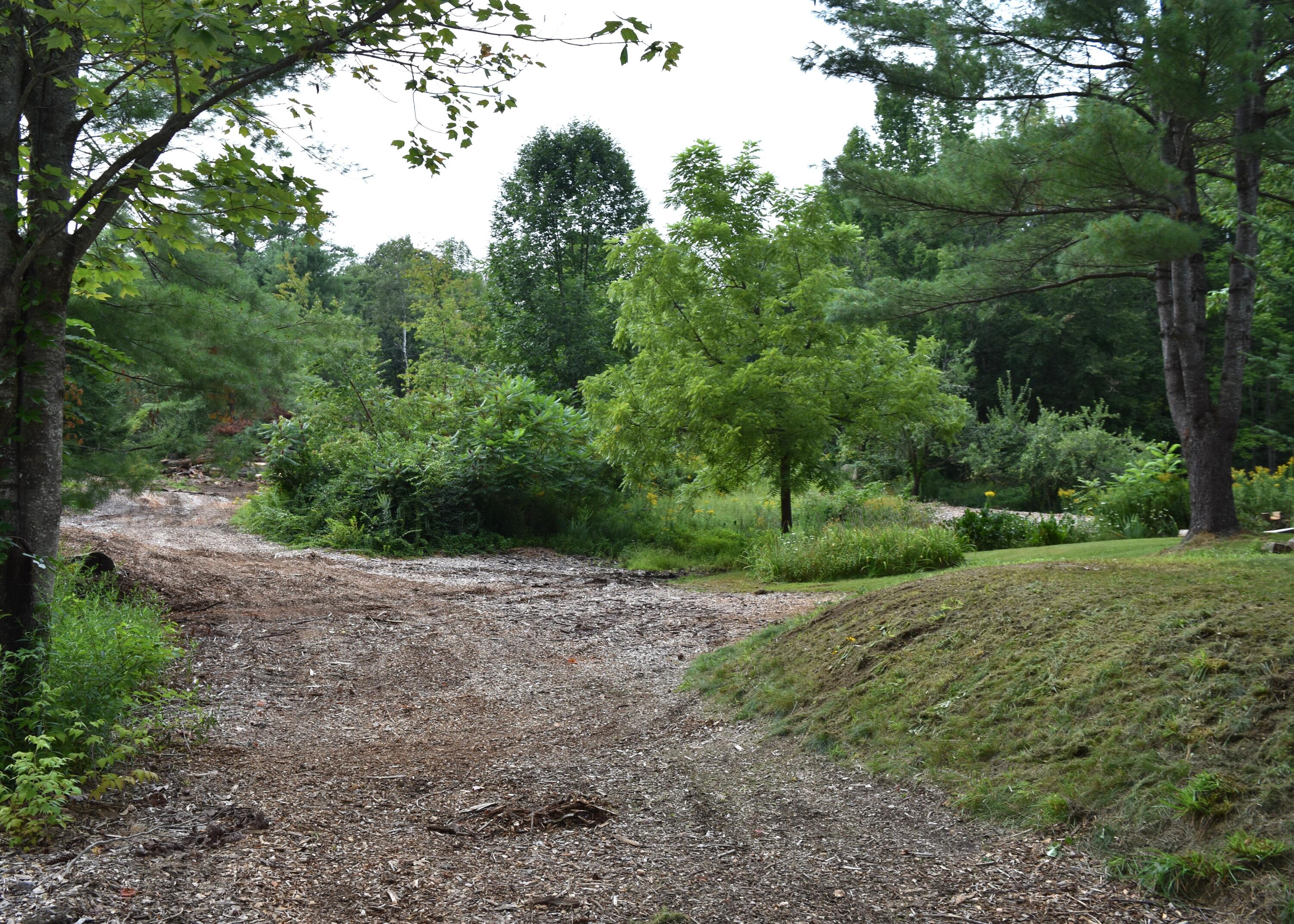 602 Water Street West Newfield, ME 04095 - Photo 20 of 26 Yard 2