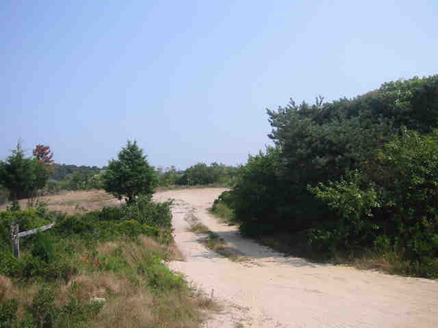 3 Wannacomet Road Nantucket, MA 02554 - Photo 1 of 1 Gallery Image 1