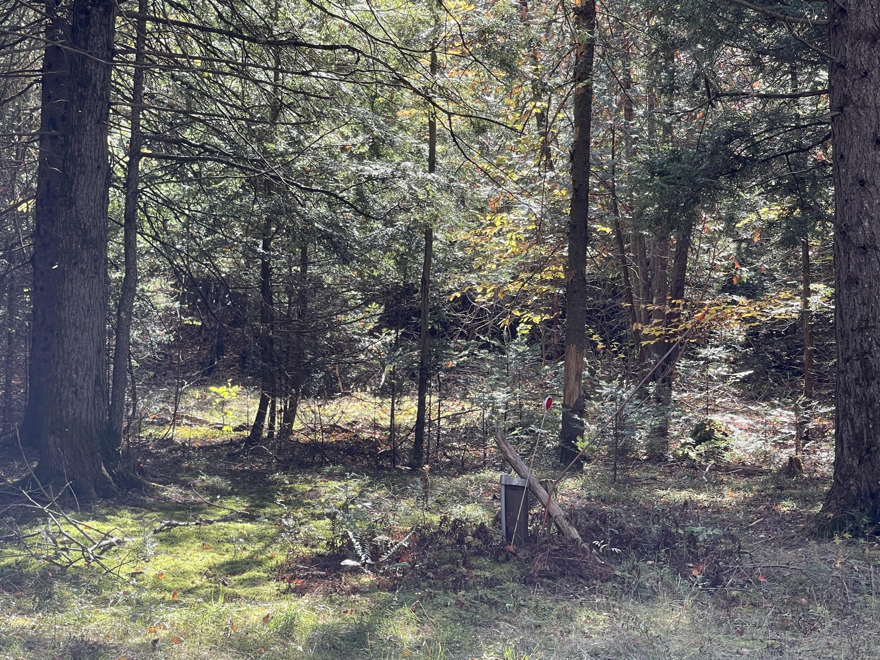 81 Parkman Road Garland, ME 04939 - Photo 24 of 24 IMG_7383