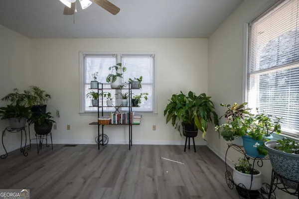 a living room with furniture and a potted plant