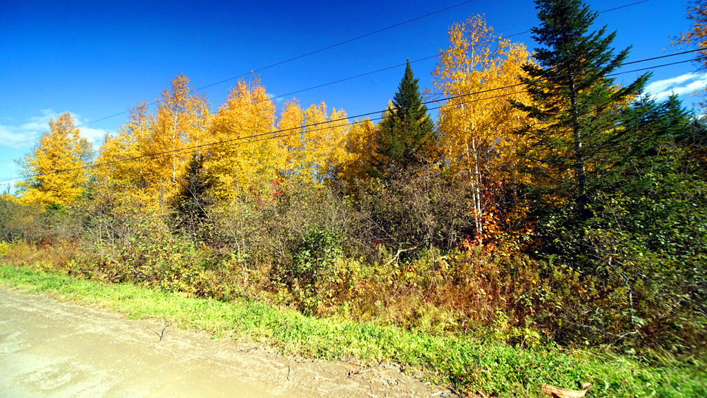 Lot 2 Bootfoot Road Bridgewater, ME 04735 - Photo 7 of 15 little-bridgewater-land-3