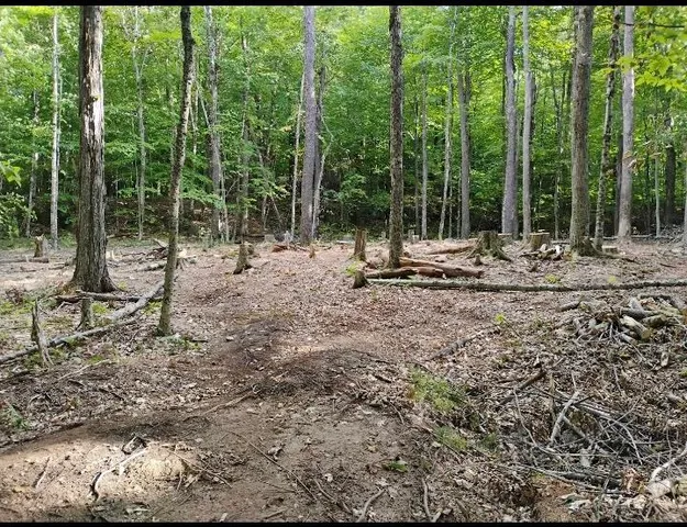 $70,000 | 335 Coolidge Drive, Washington, NH 03280