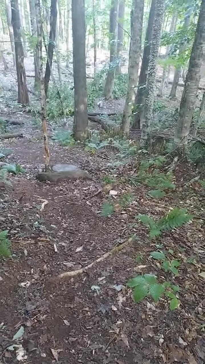 335 Coolidge Drive Washington, NH 03280 - Photo 4 of 6