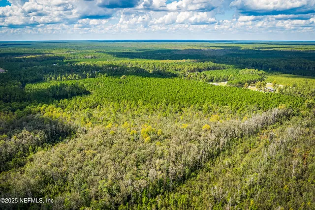 a view of a garden with a lake