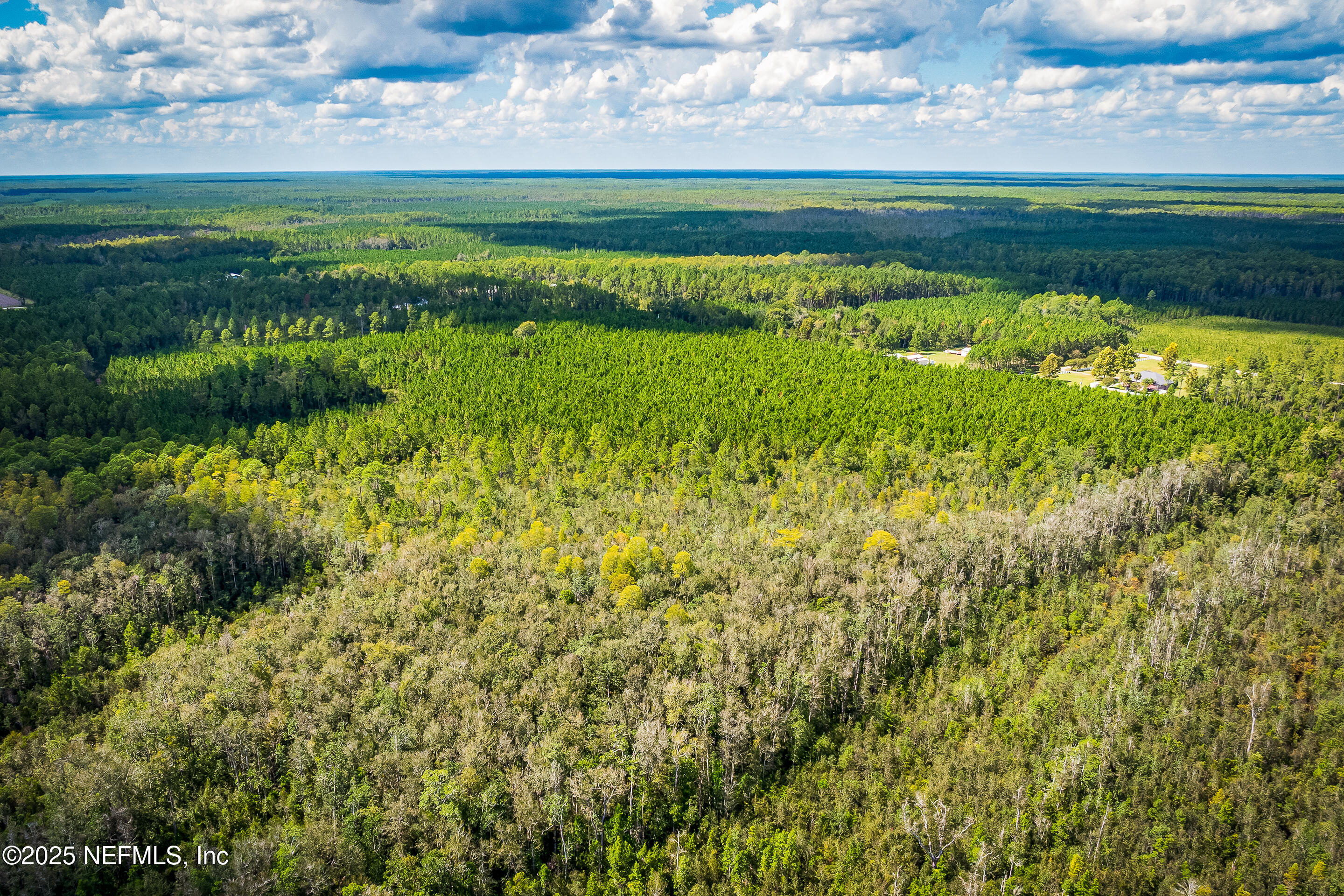 0 Leon Dopson Road Sanderson, FL 32087 - Photo 1 of 12 a view of a garden with a lake