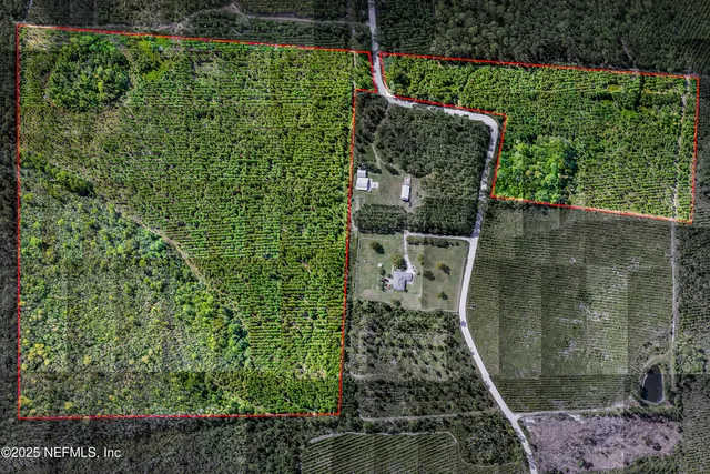 $570,000 | 0 Leon Dopson Road, Sanderson, FL 32087