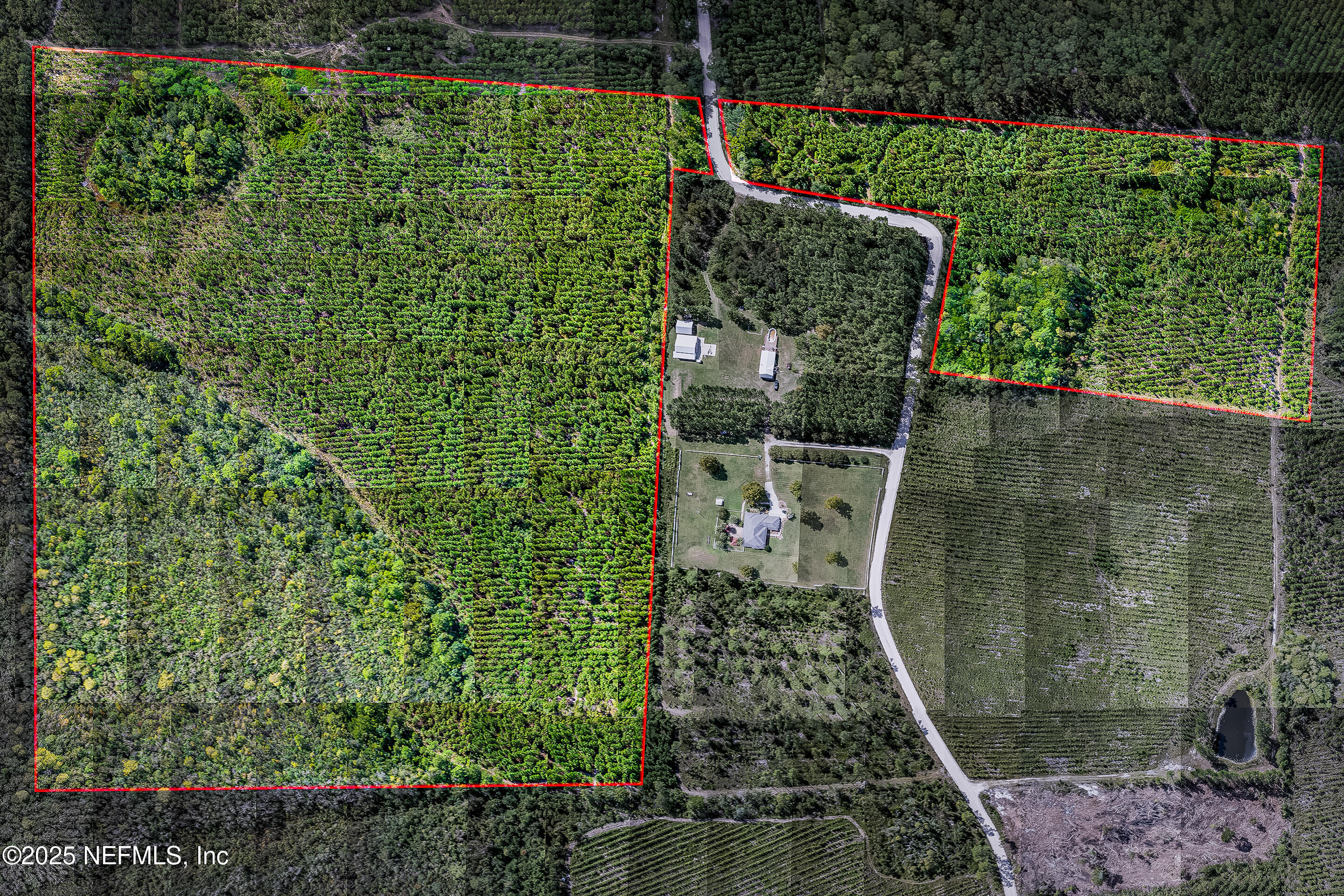 0 Leon Dopson Road Sanderson, FL 32087 - Photo 11 of 12