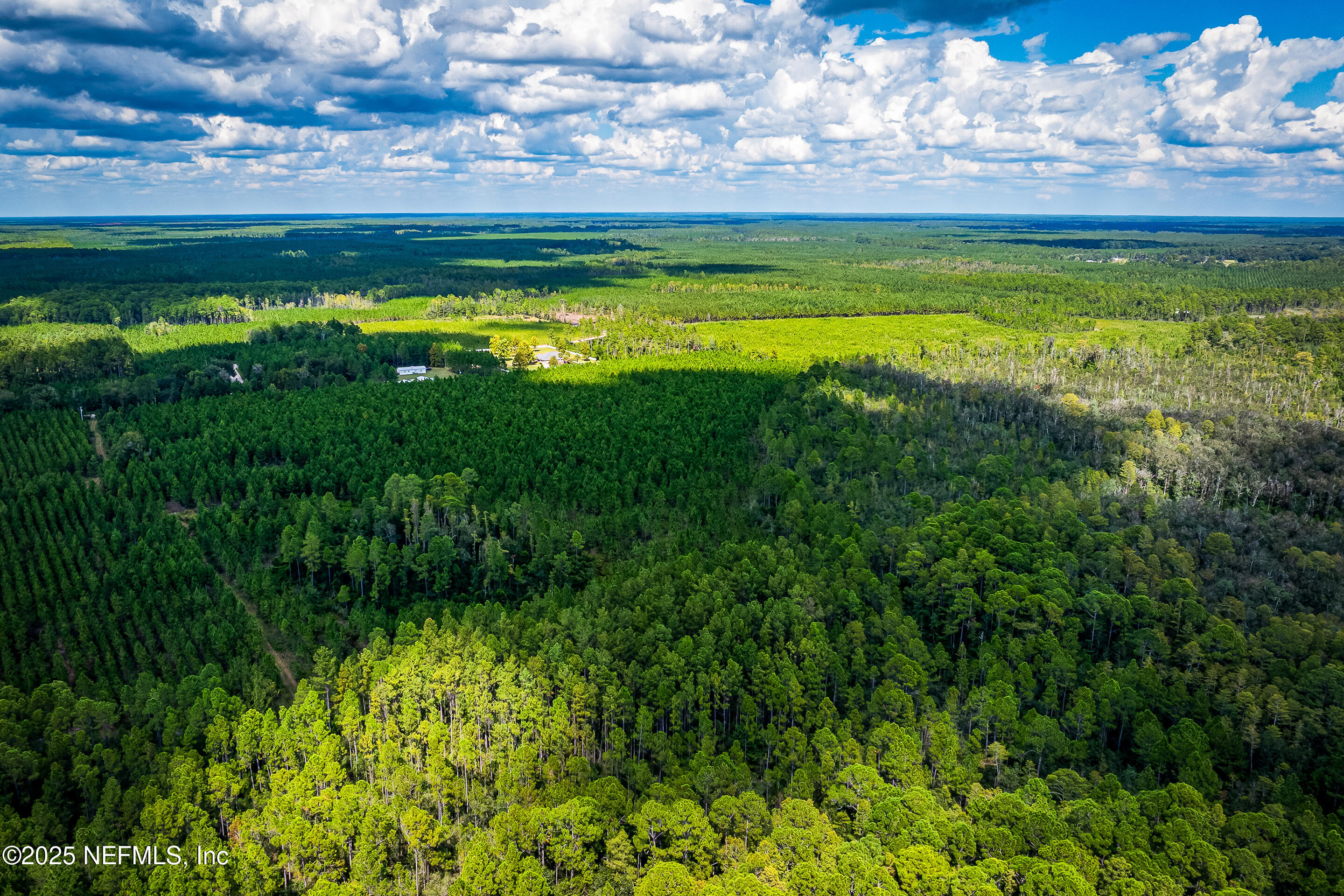 0 Leon Dopson Road Sanderson, FL 32087 - Photo 2 of 12 a view of a golf course with a lake