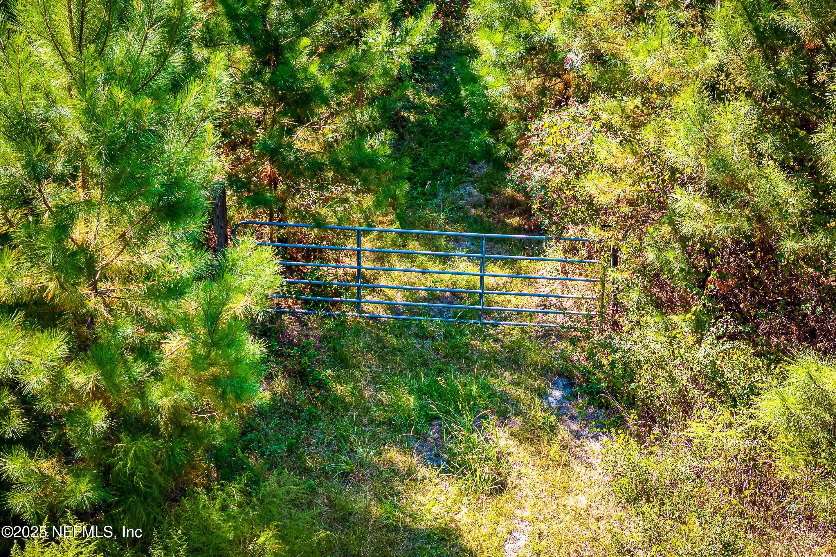 0 Leon Dopson Road Sanderson, FL 32087 - Photo 3 of 12 a view of a house with a yard