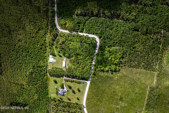 a view of garden with wooden bridge