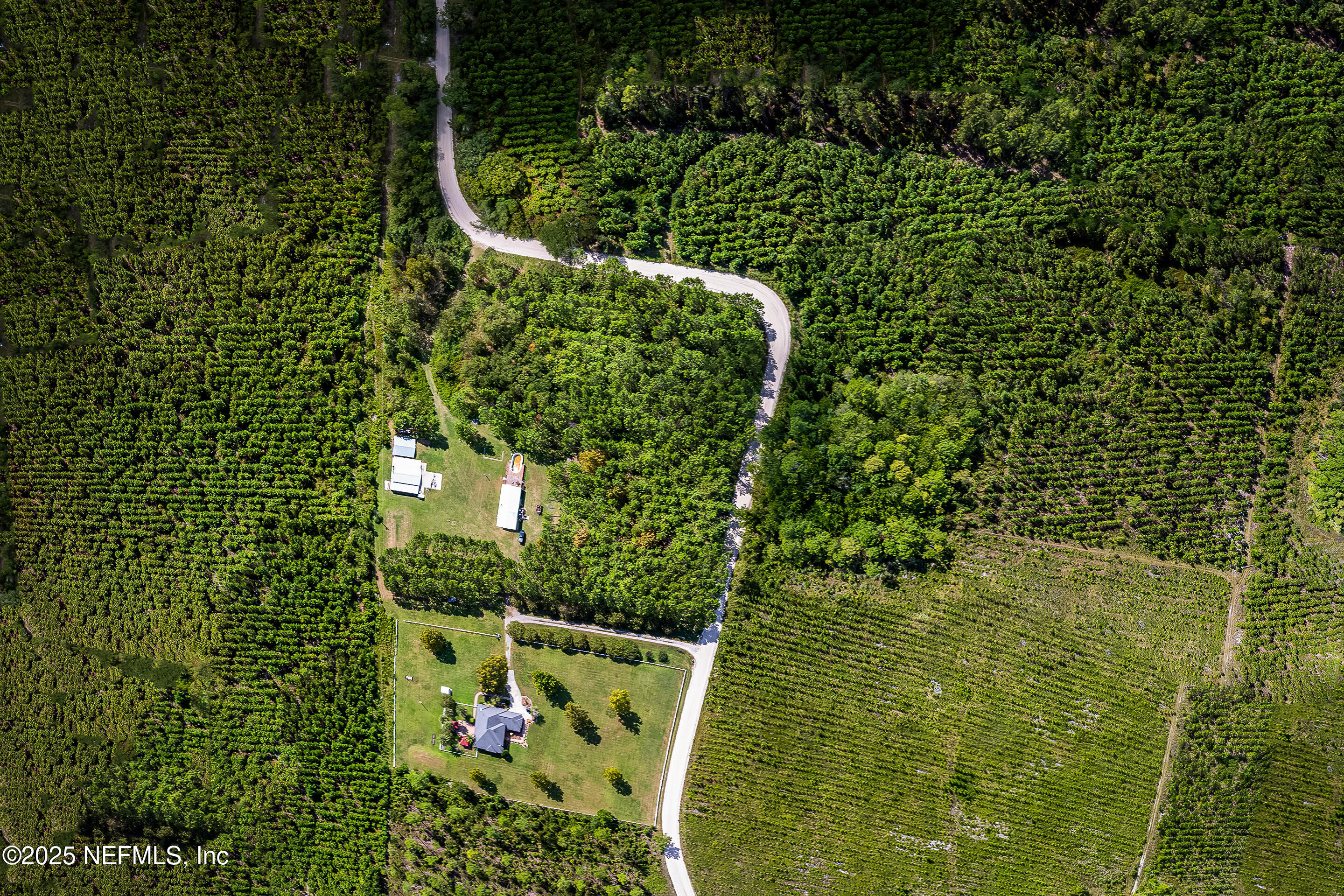 0 Leon Dopson Road Sanderson, FL 32087 - Photo 4 of 12