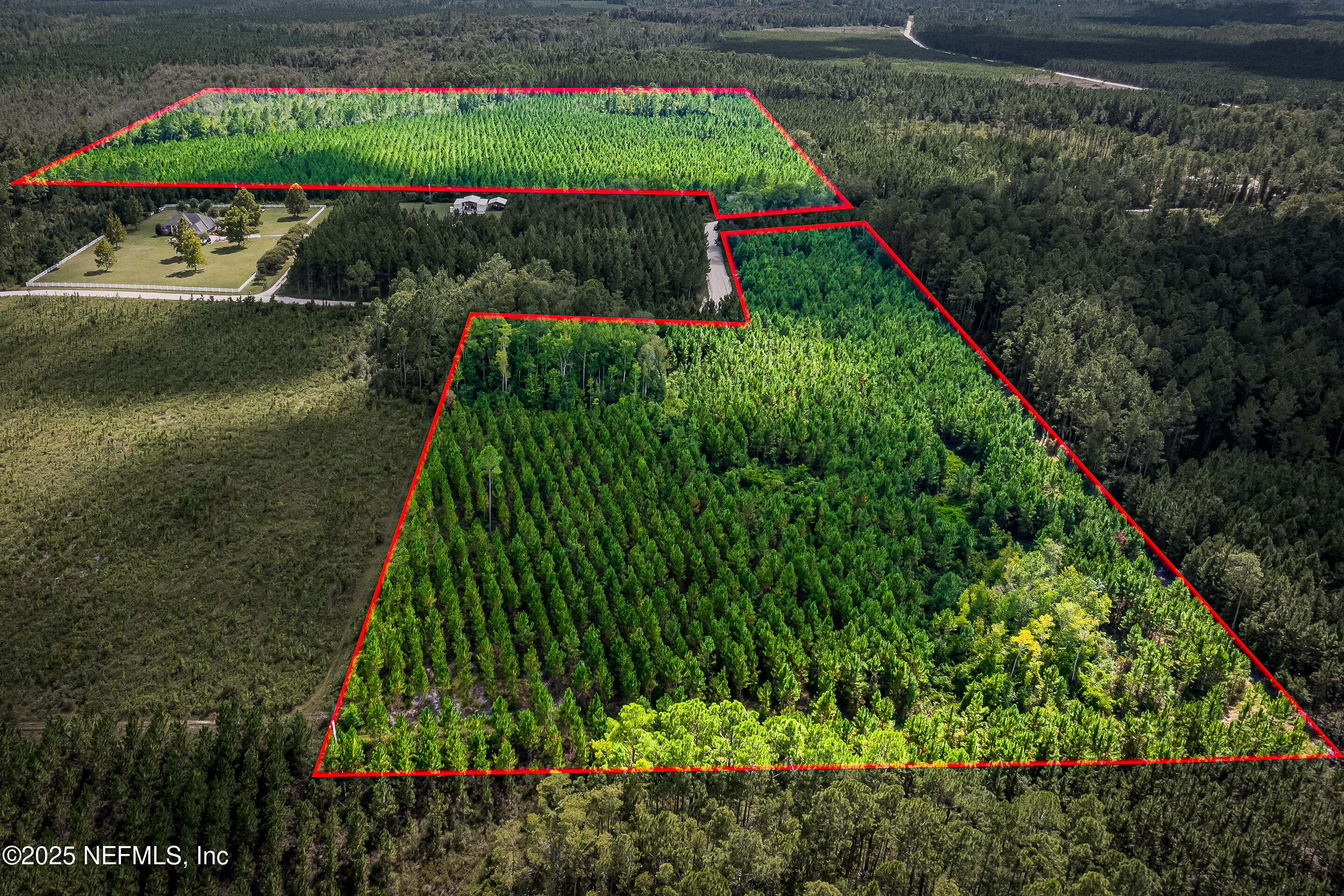 0 Leon Dopson Road Sanderson, FL 32087 - Photo 5 of 12 a view of garden with wooden bridge