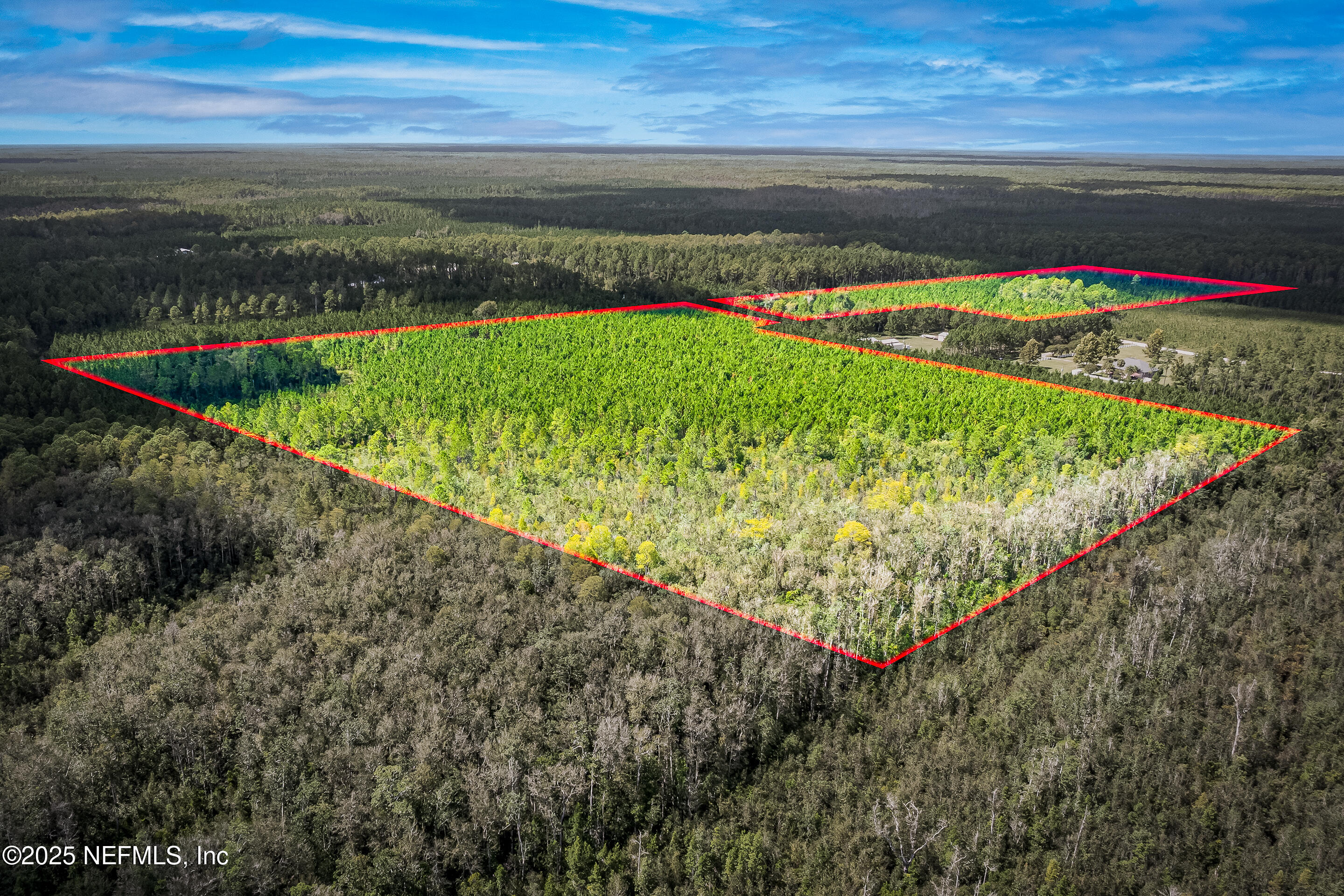 0 Leon Dopson Road Sanderson, FL 32087 - Photo 9 of 12 a view of a backyard with a lake view