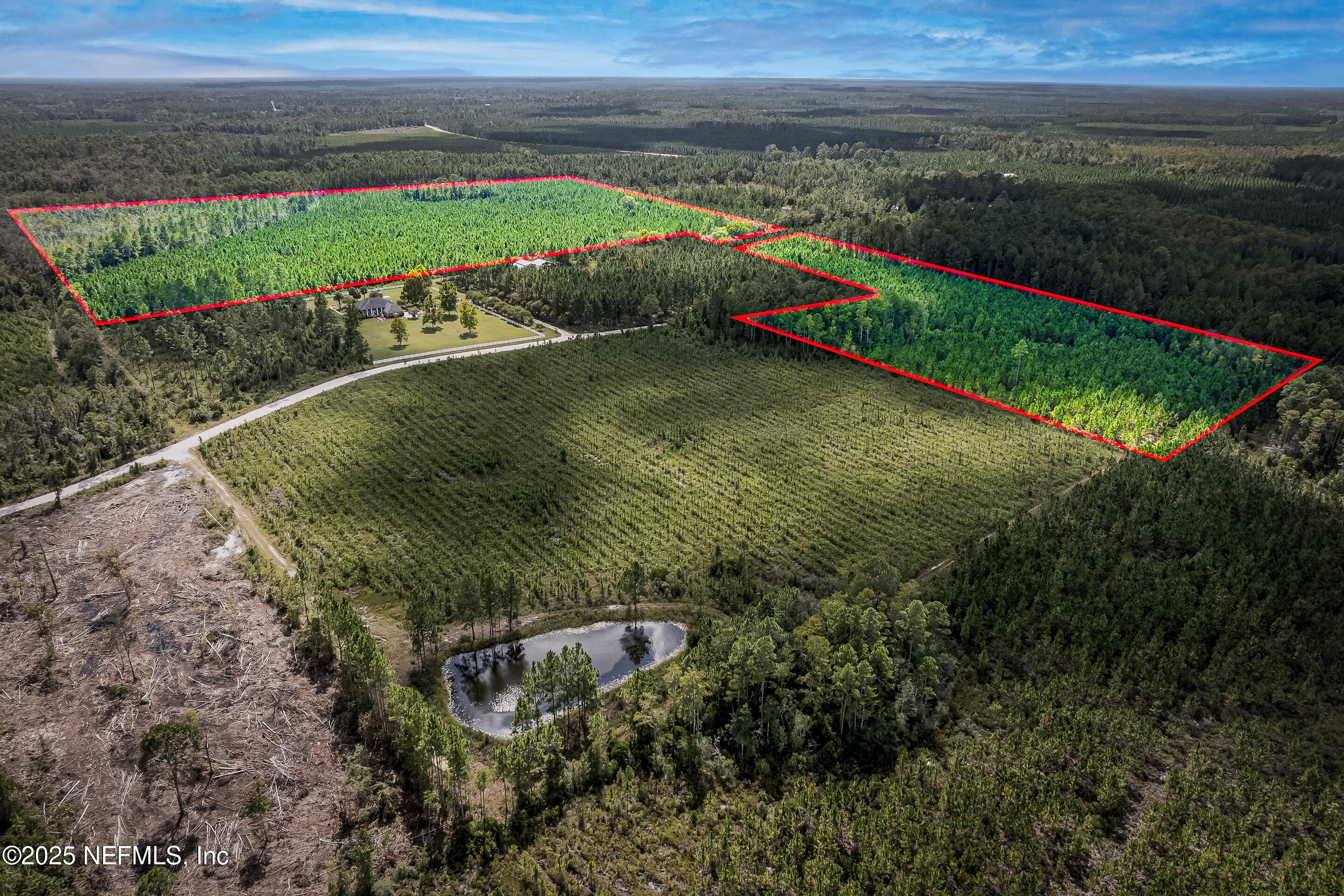 0 Leon Dopson Road Sanderson, FL 32087 - Photo 10 of 12