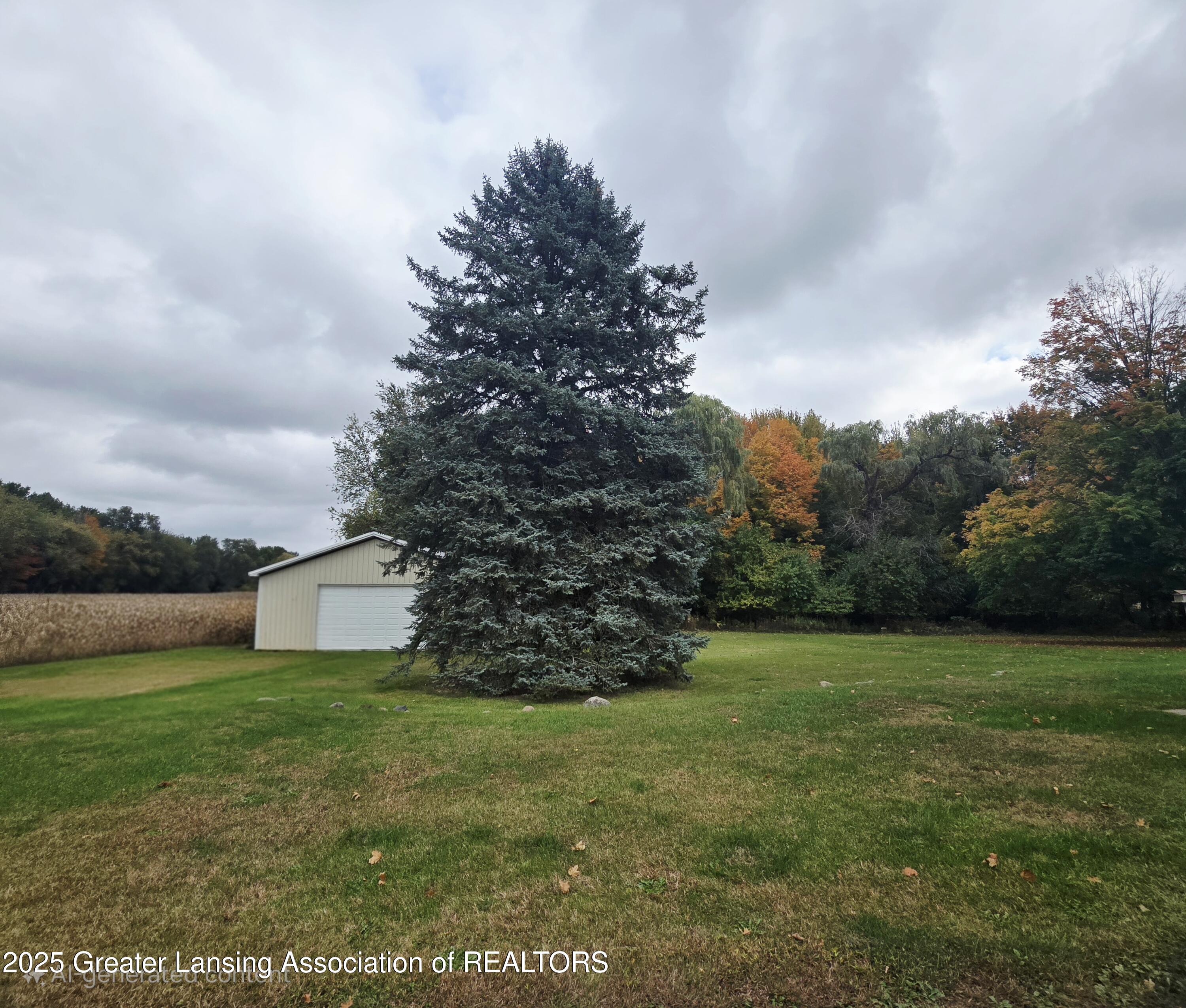 7694 North Meridian Road Elsie, MI 48831 - Photo 28 of 41 Merdian barn