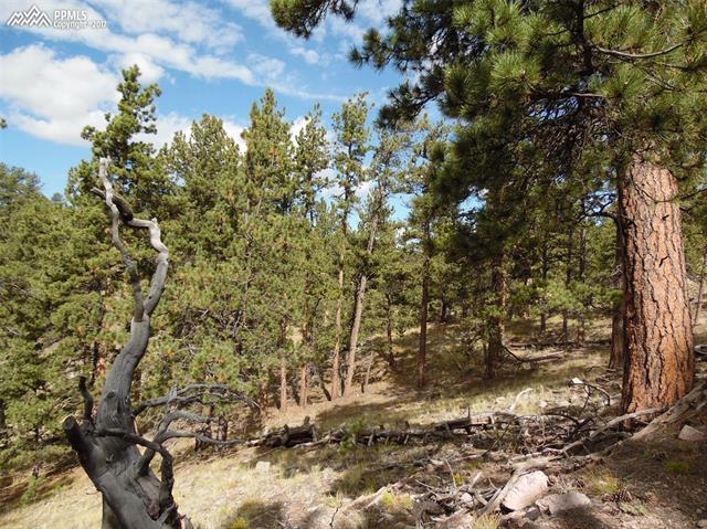 50 A Road Guffey, CO 80820 - Photo 9 of 24