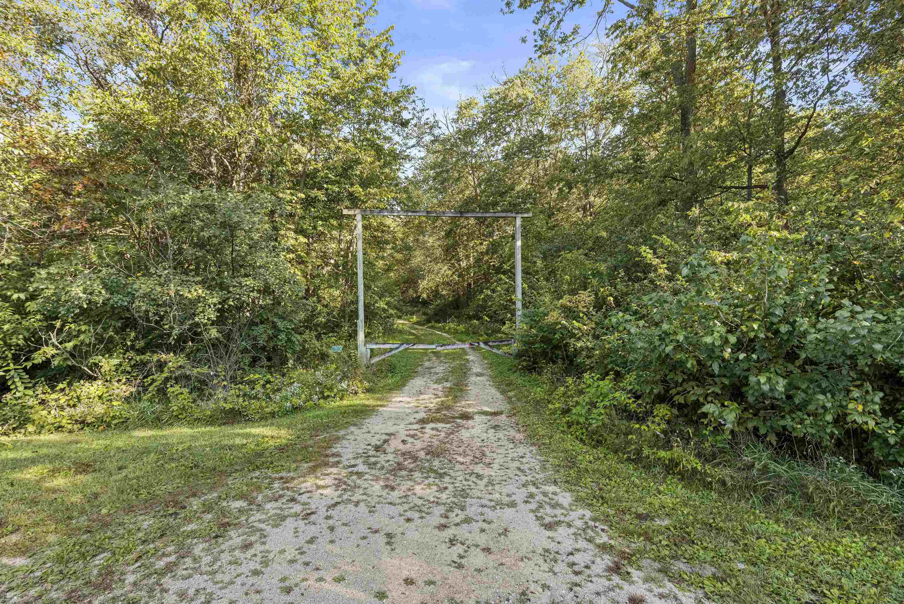 7145 South Rock Nation Road Dixon, IL 61021 - Photo 51 of 72 a view of a yard with plants and large trees