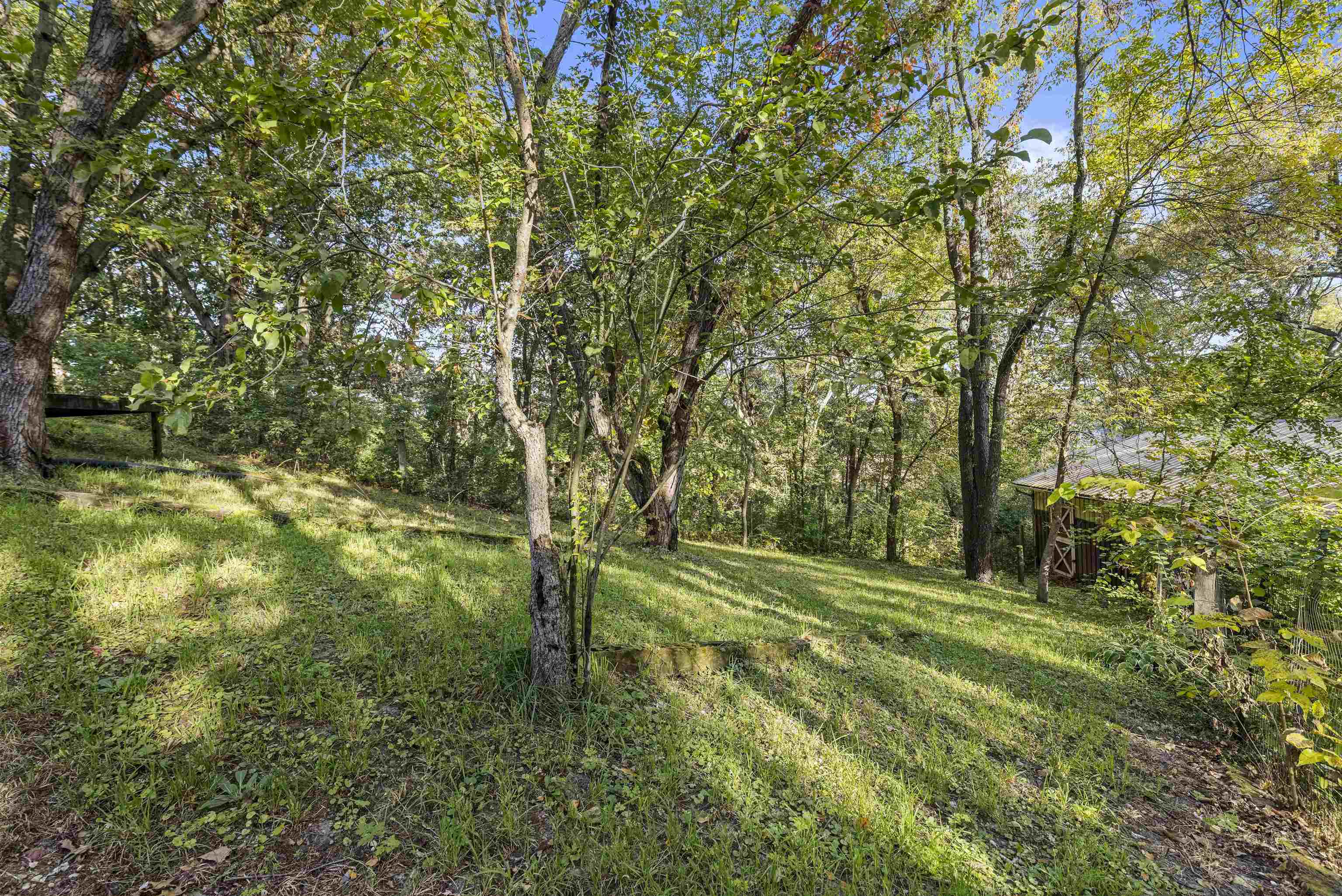 7145 South Rock Nation Road Dixon, IL 61021 - Photo 53 of 72 a big yard with lots of green space and trees