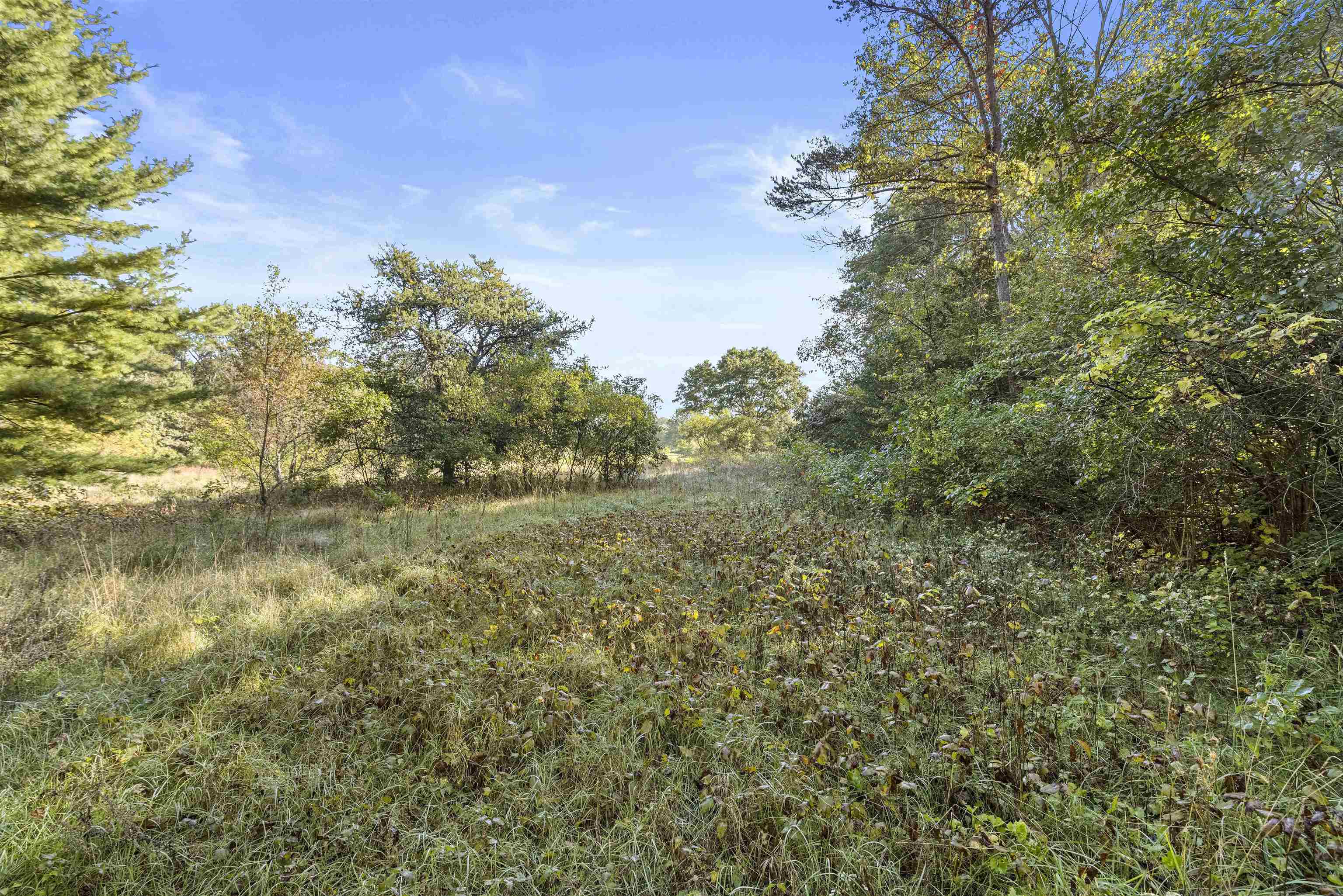 7145 South Rock Nation Road Dixon, IL 61021 - Photo 54 of 72 a view of a field of grass and trees