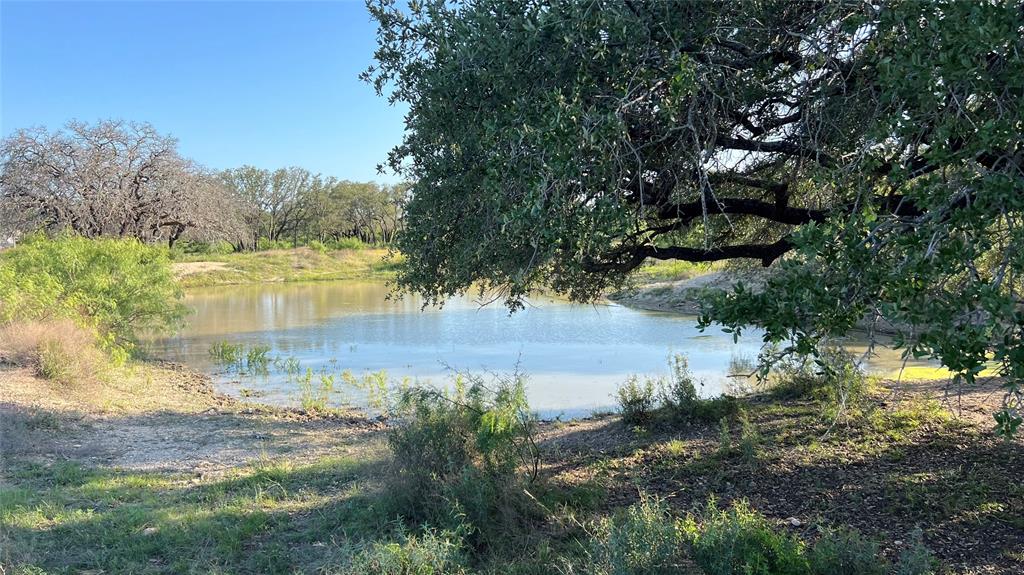 277 County Road 505 Goldthwaite, TX 76844 - Photo 13 of 14 a view of a lake from a yard