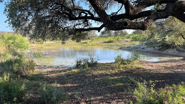 a view of a lake with a tree