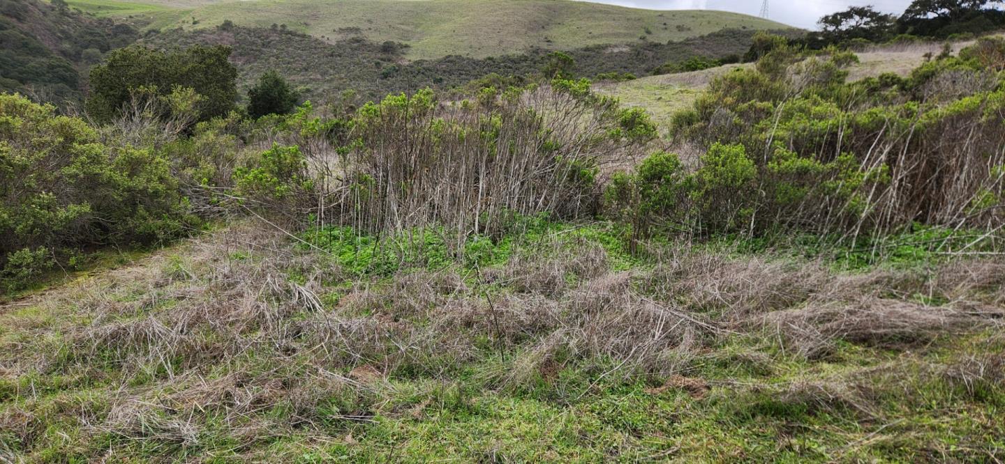 0 Salinas Road San Juan Bautista, CA 95045 - Photo 12 of 20 a view of a lush green forest with trees and houses