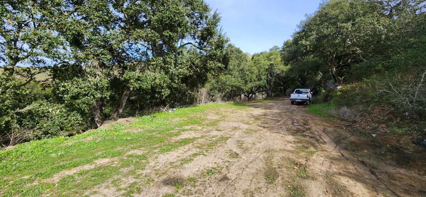 0 Salinas Road San Juan Bautista, CA 95045 - Photo 13 of 20 a view of a field with a tree