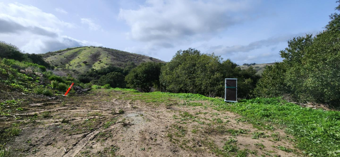 0 Salinas Road San Juan Bautista, CA 95045 - Photo 14 of 20 a backyard of a house with lots of green space