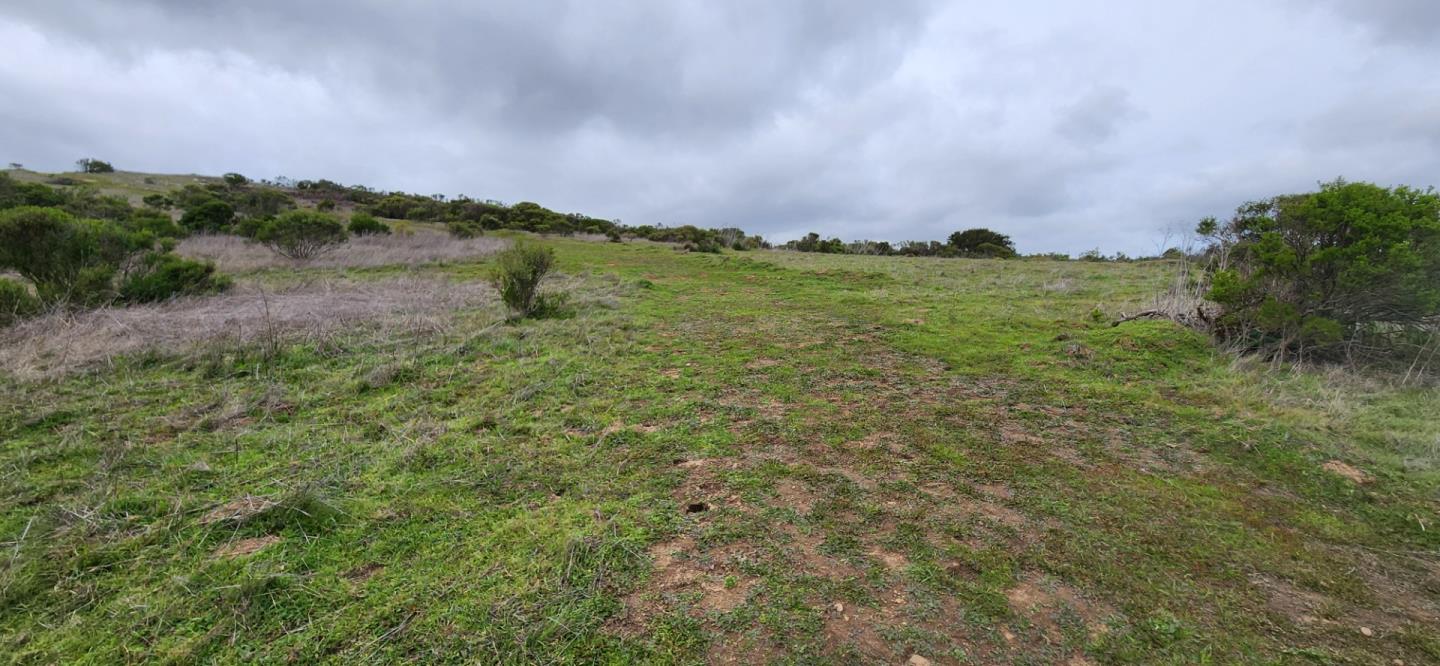 0 Salinas Road San Juan Bautista, CA 95045 - Photo 6 of 20 a view of a lake in middle of forest