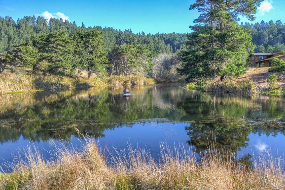 15721 Forest View Road Manchester, CA 95459 - Photo 47 of 50 Community Pomo Lake and Picnic Area...