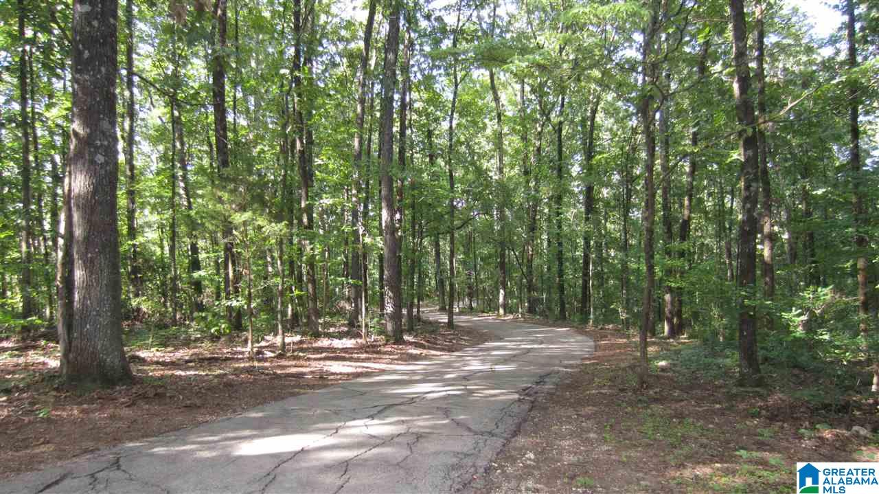 5951 Red Hollow Road Birmingham, AL 35215 - Photo 40 of 40