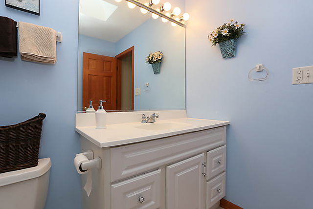 654 Ridge Drive Elburn, IL 60119 - Photo 19 of 25 a bathroom with a sink vanity and a toilet