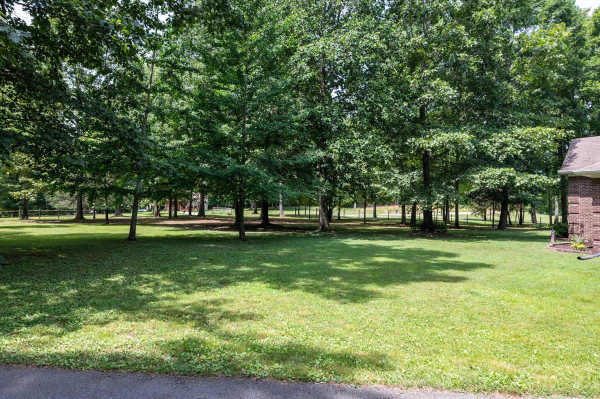 734 Keytown Road Portland, TN 37148 - Photo 36 of 49 a view of a park with large trees