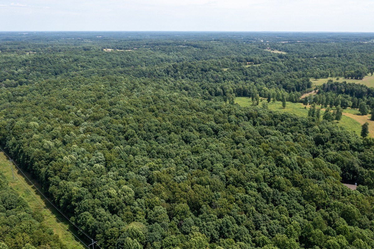734 Keytown Road Portland, TN 37148 - Photo 38 of 49 a view of a green field with lots of bushes