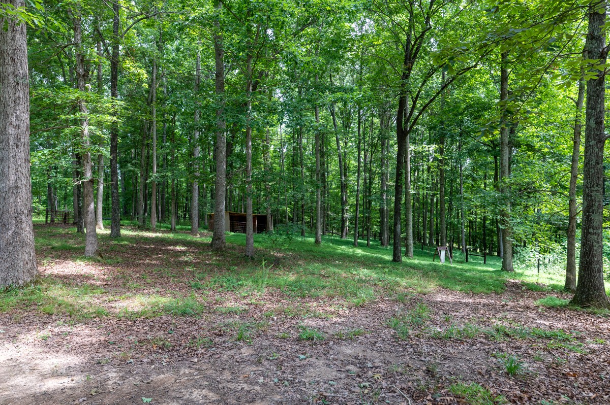 734 Keytown Road Portland, TN 37148 - Photo 41 of 49 a view of a backyard with trees