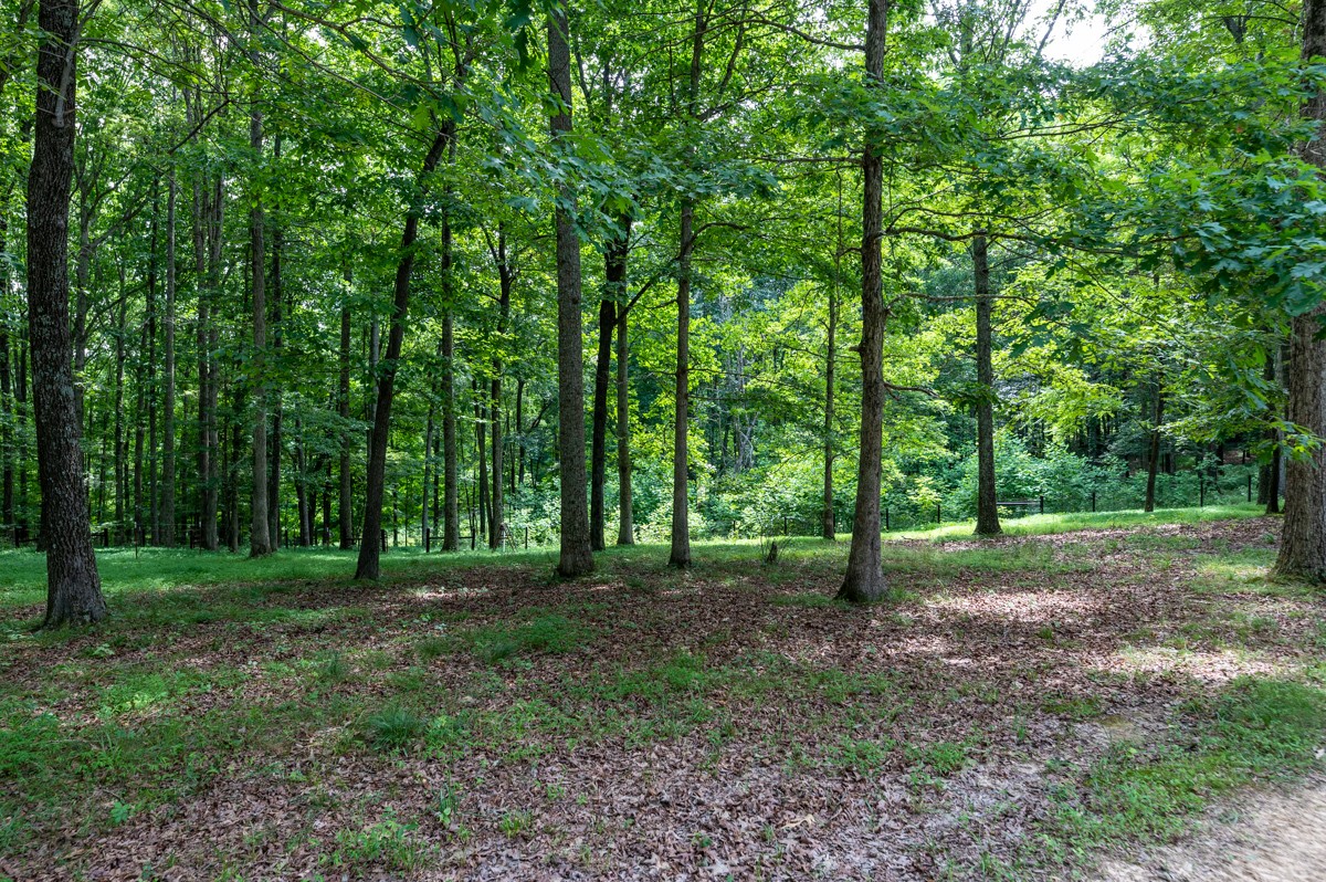 734 Keytown Road Portland, TN 37148 - Photo 42 of 49 a view of a large yard with lots of green space