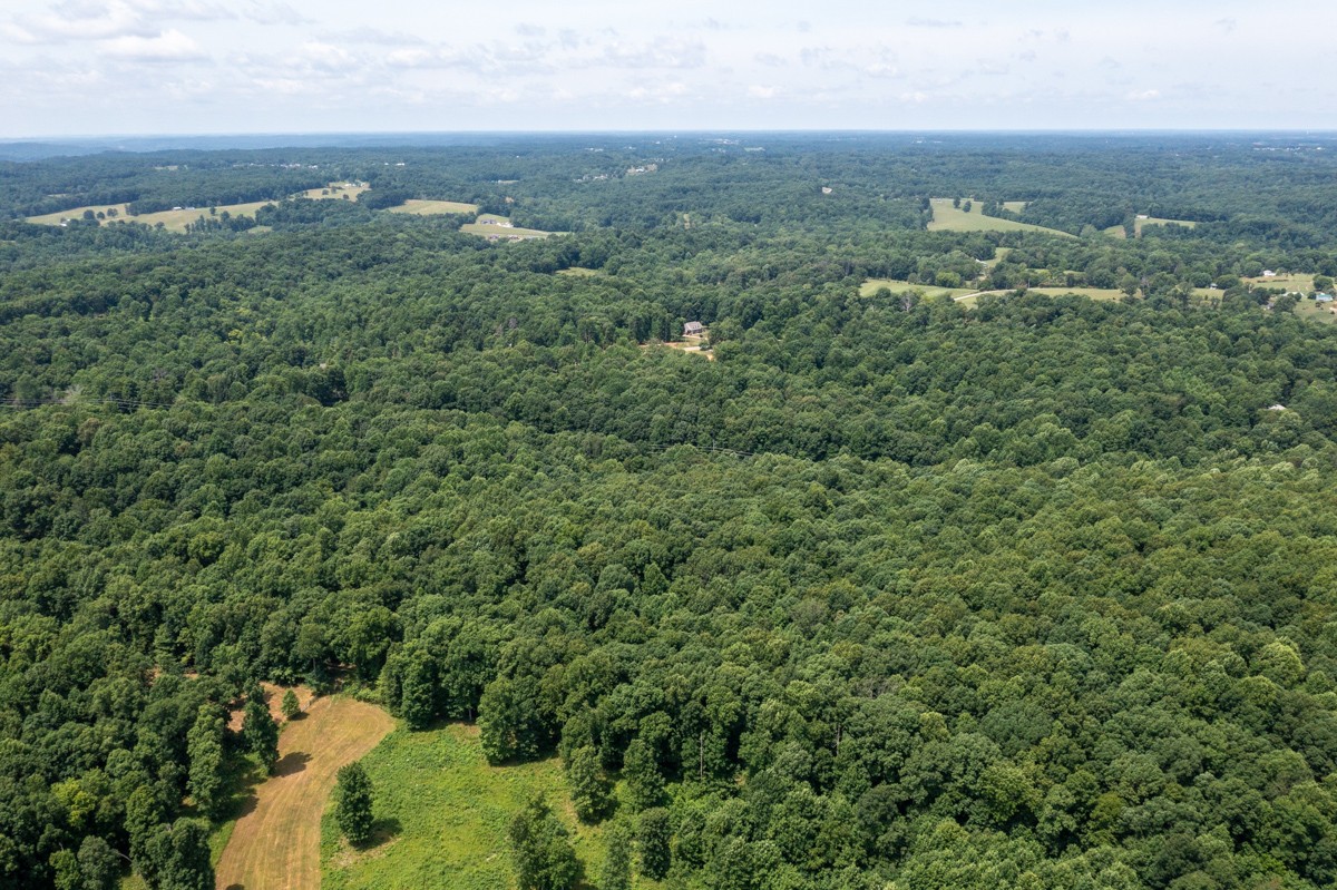 734 Keytown Road Portland, TN 37148 - Photo 43 of 49 an aerial view of residential houses with outdoor space and trees