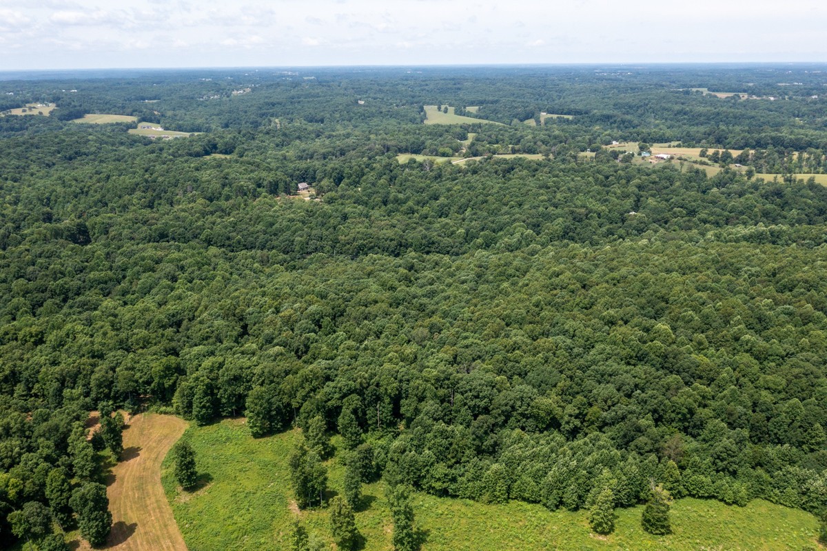 734 Keytown Road Portland, TN 37148 - Photo 44 of 49 an aerial view of residential houses with outdoor space and trees