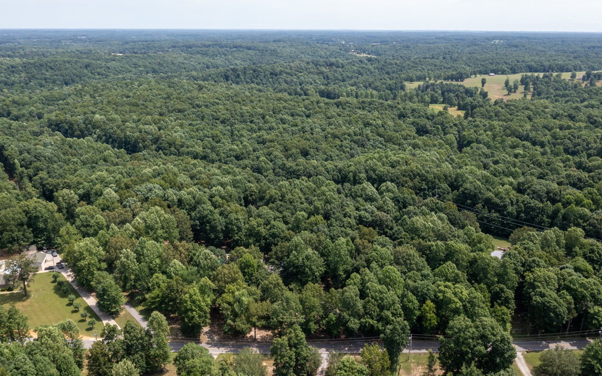734 Keytown Road Portland, TN 37148 - Photo 47 of 49 a view of a forest with a street