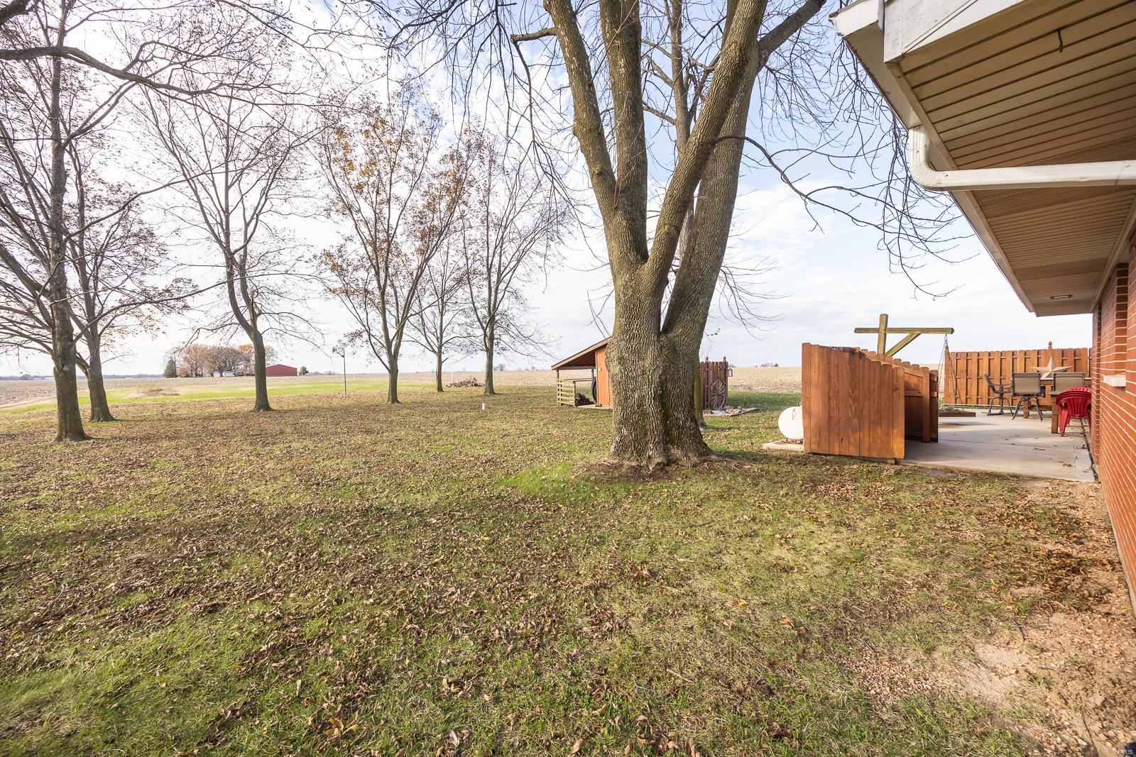 11313 Riess Road Mascoutah, IL 62258 - Photo 31 of 35