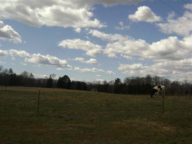 594 Dodson Road, Unit USDA 100 FINANCING AVAIL Donalds, SC 29638 - Photo 20 of 23