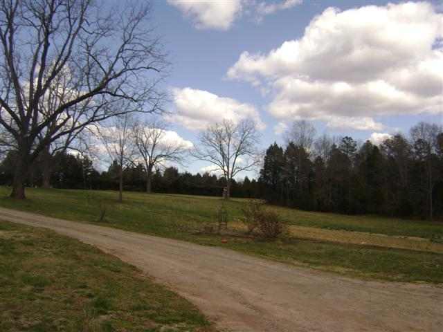 594 Dodson Road, Unit USDA 100 FINANCING AVAIL Donalds, SC 29638 - Photo 3 of 23